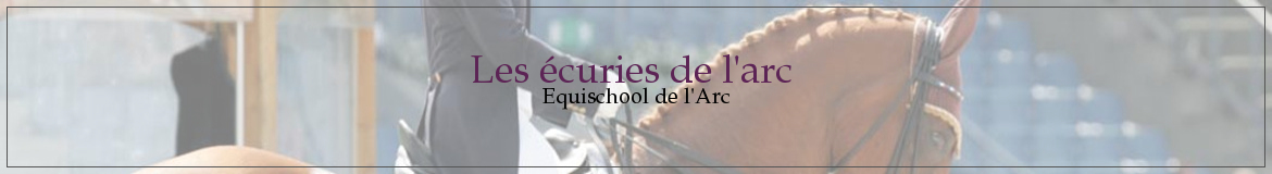 Les écuries de l'arc 